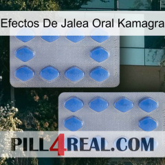 Kamagra Oral Jelly Effects 20